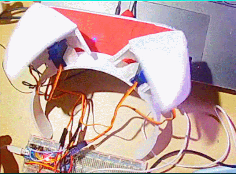 Gif of the ears behaving erratically to a standard beat. maybe a youtube clip?