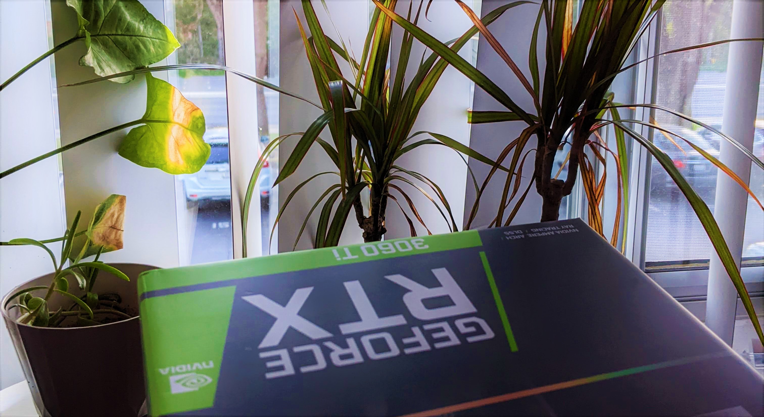 The 3060Ti in the sun