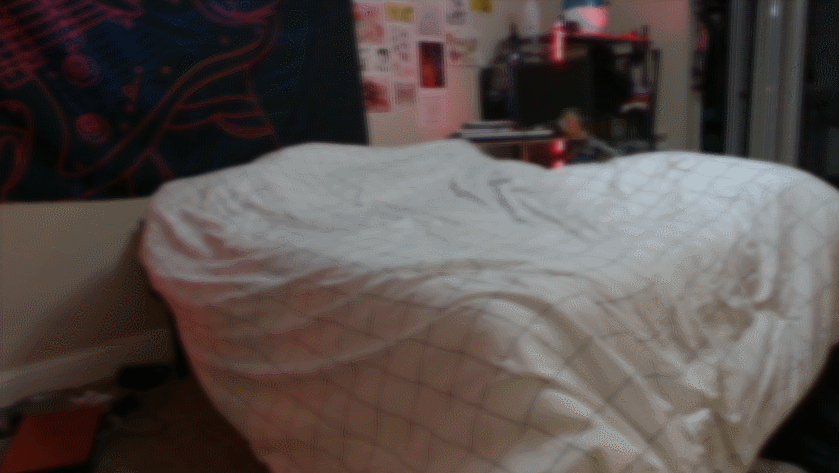 the bed one